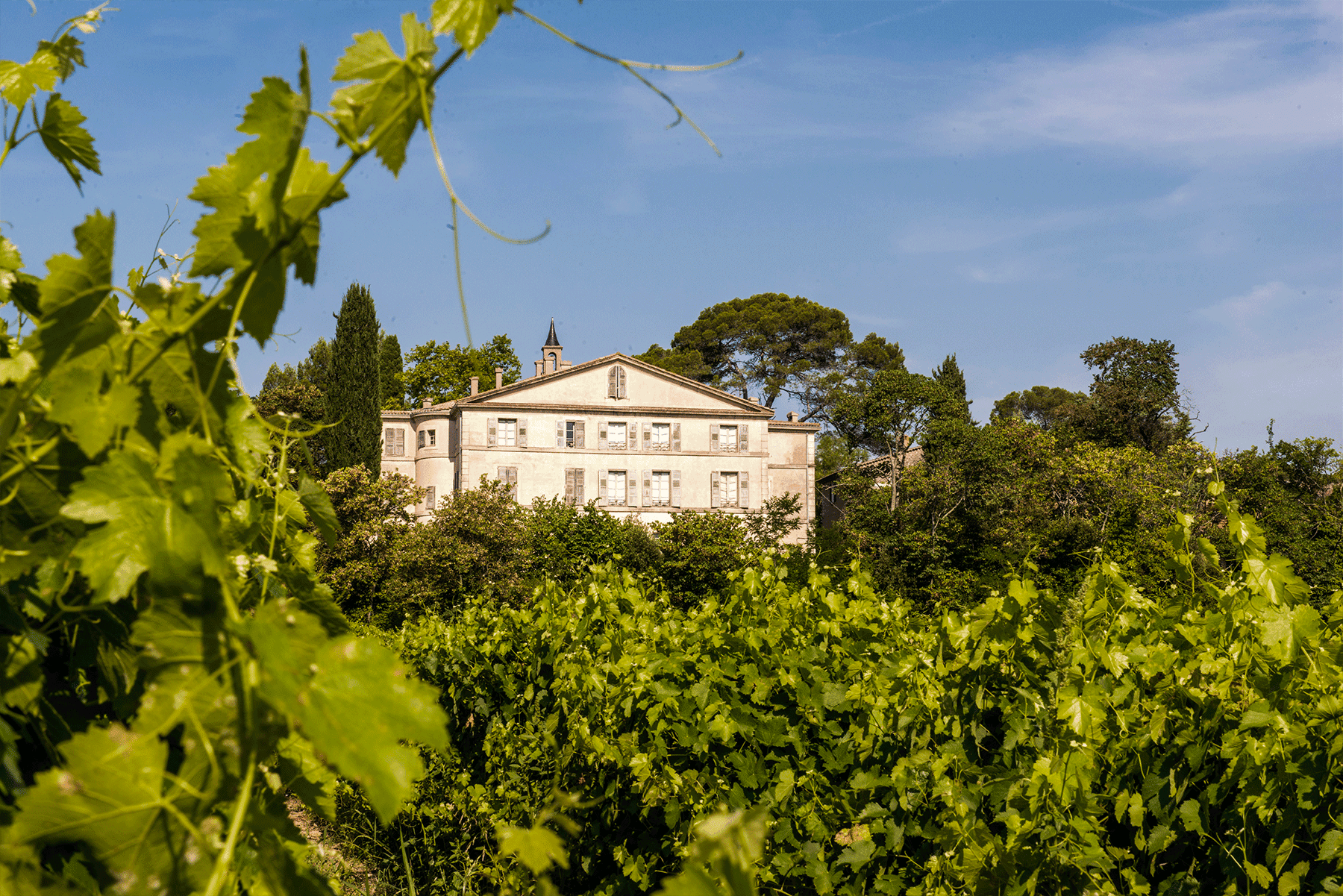 Château de Valbourgès