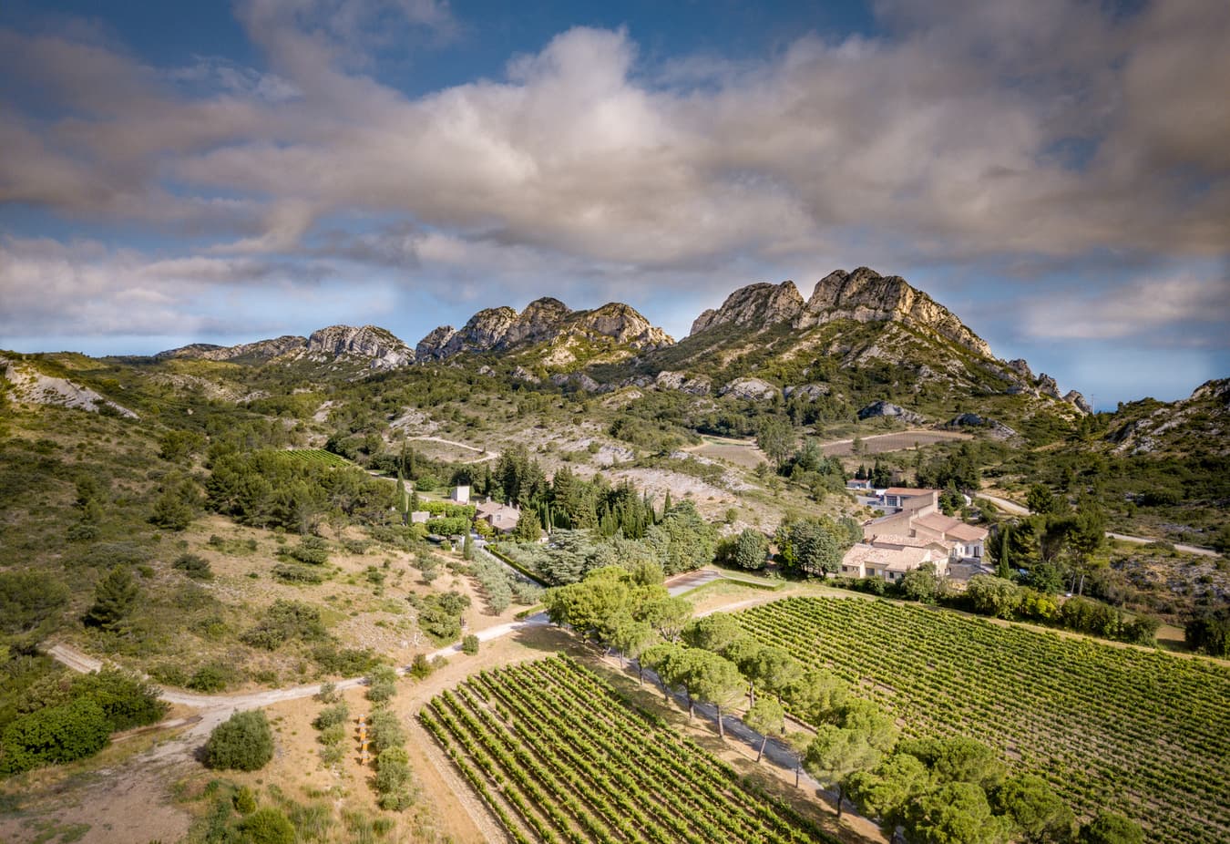 Domaine de la Vallongue