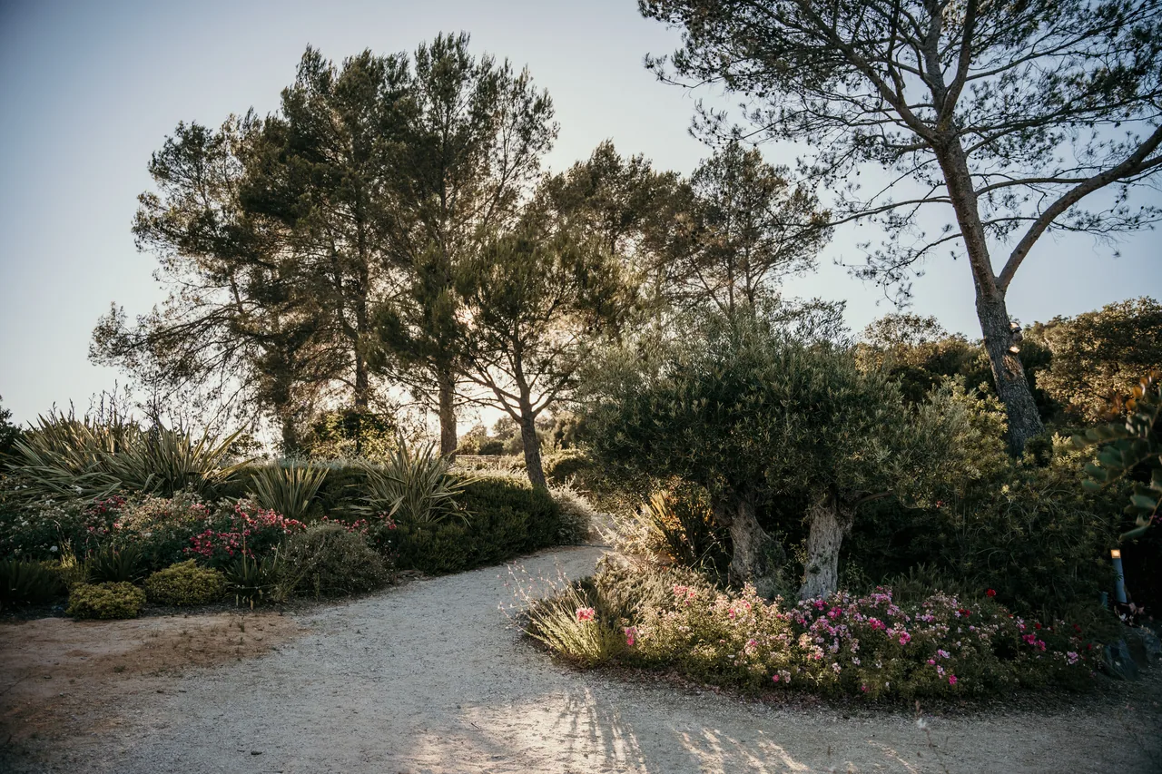 Château Pas du Cerf à La Londe-les-Maures — réception Best Events, photographie 2