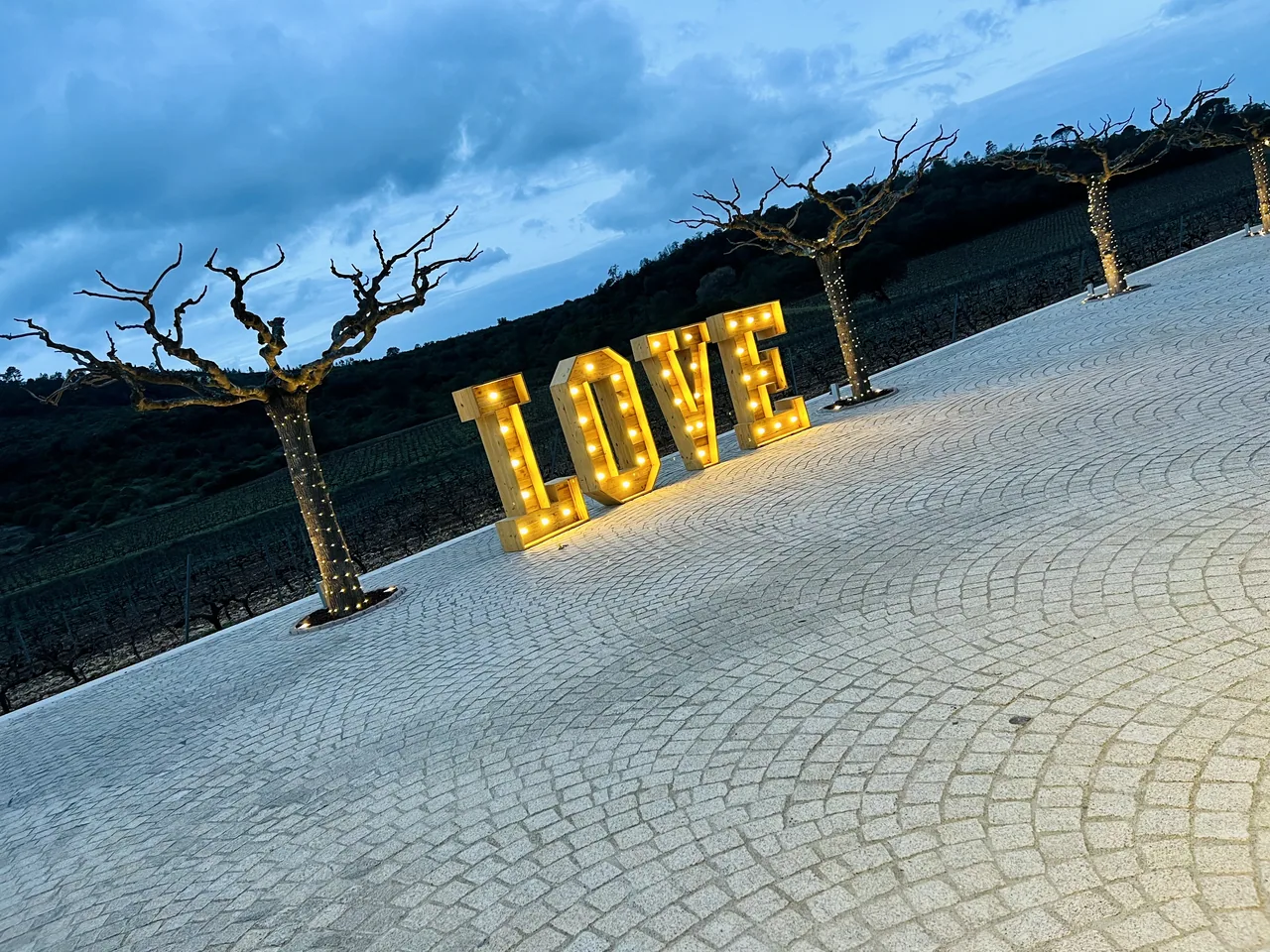 Domaine de la Bouverie à Roquebrune-sur-Argens — réception Best Events, photographie 15